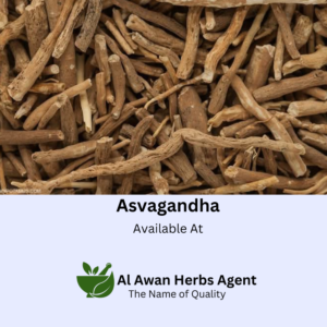 Best Quality Asvagandha