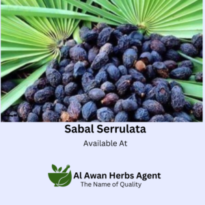 Best Quality Sabal Sarulatta